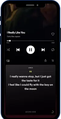 how to see lyrics on spotify 2